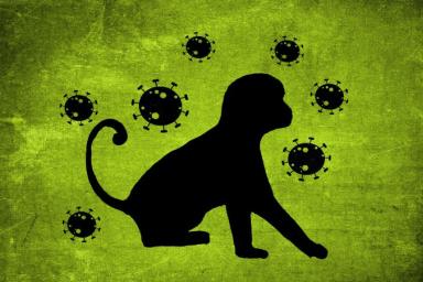 обезьянья оспа