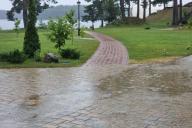 дождь в парке