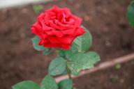 благоустройство