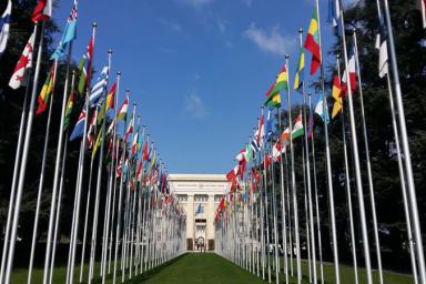 флаги, ООН