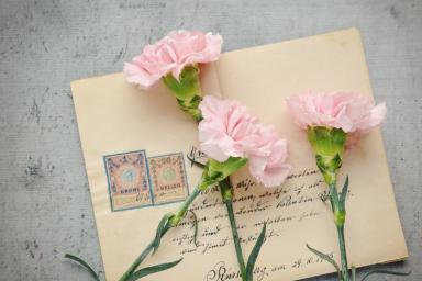 Цветы, письмо