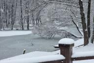 Снег в парке 
