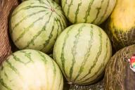 арбузы