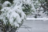 Зима Природа