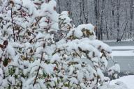 Зима Природа