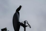 Спутниковая связь