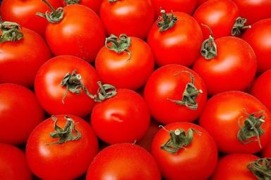 томатов