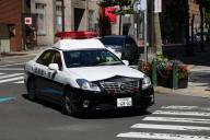 полиция Япония