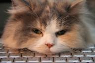 клавиатуре