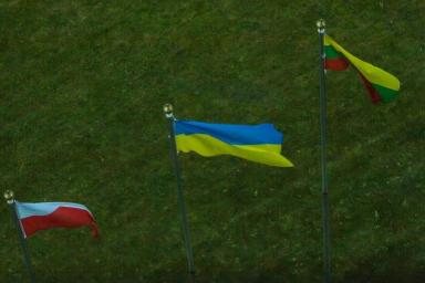 Флаги Польши, Украины и Литвы