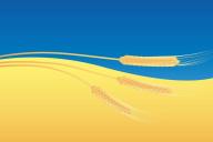 Зерновая сделка