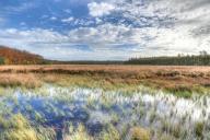 Поле, ветер