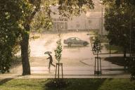 Гроза, дождь