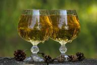 шампанское