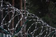Колючая проволока