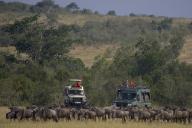 Африка, туризм