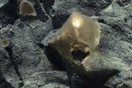 исследование