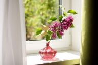 ваза, подоконник