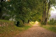 Путь, природа