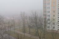 деревья, дом