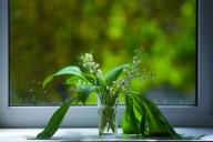 подоконник