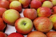 яблоки