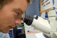 исследование