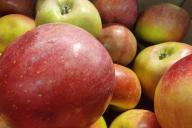 яблоки