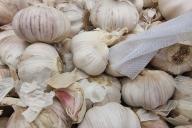 чеснок