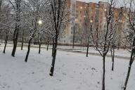 гололедица