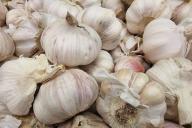 Чеснок