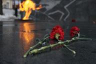 цветы, огонь