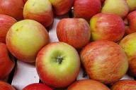 Яблоки