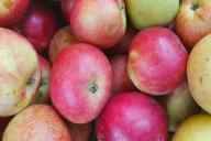 яблоки