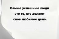 Самые успешные люди — это те, кто делают свое любимое дело.