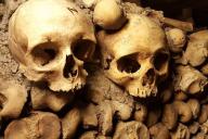 Черепа