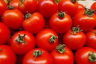 Помидоры