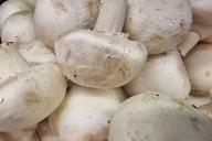 шампиньоны