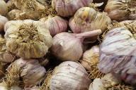 чеснок