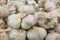 чеснок