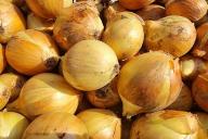 лук