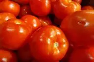 томат