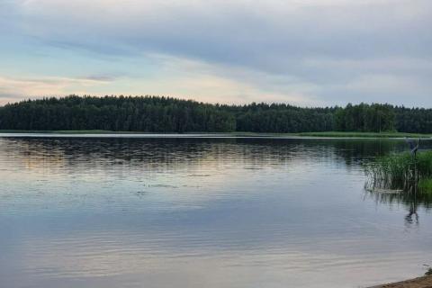 берег реки