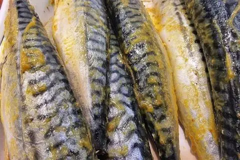 морская рыба