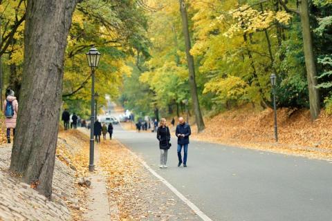 люди на прогулке
