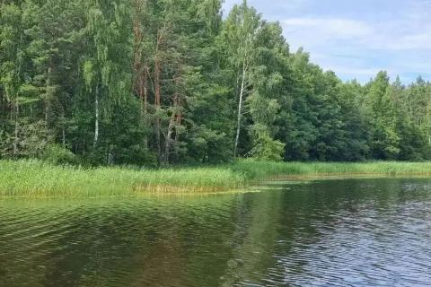 берег реки