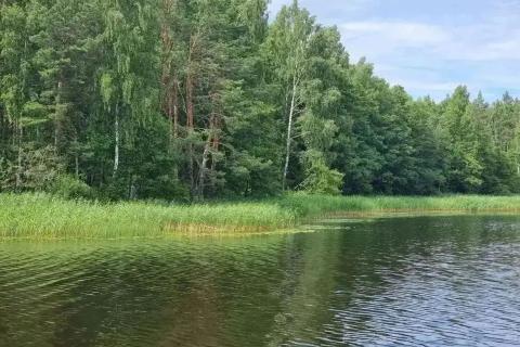 берег реки