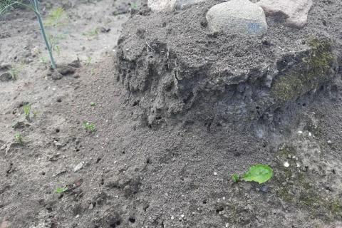 речной песок