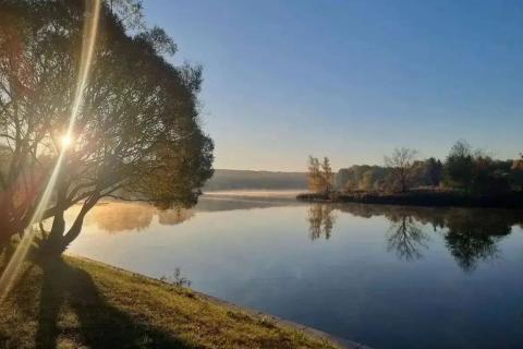 берег реки