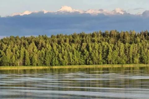 берег реки